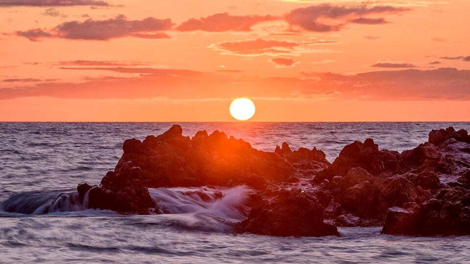 Save Hawaii Coral Reef Reduce Carbon Footprint