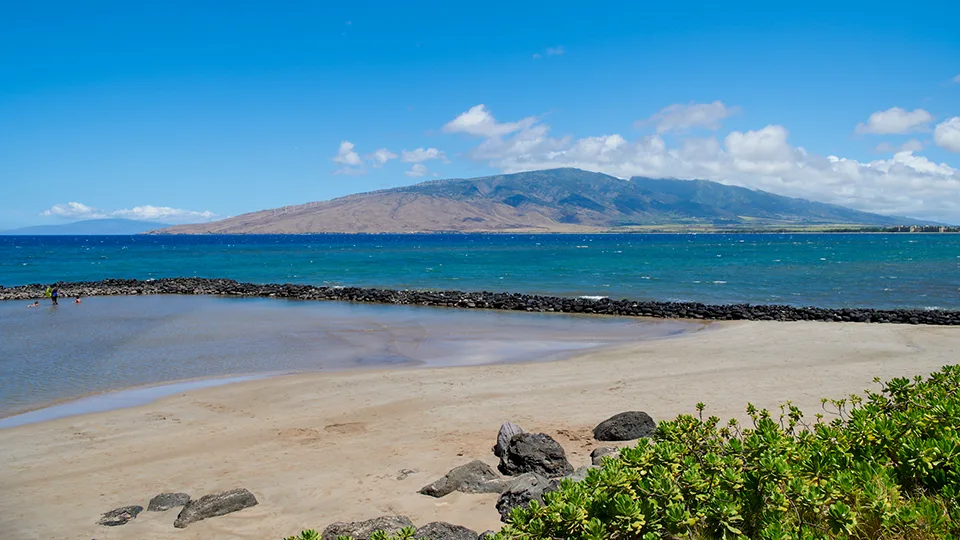 Best Maui Activities Humpback Whale Sanctuary