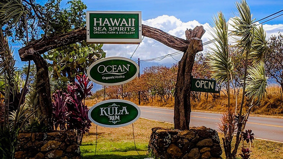 Best Maui Activities Ocean Vodka Tour
