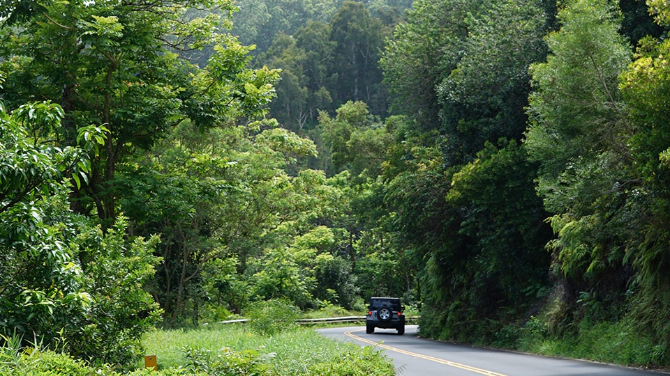 Best Maui Activities Hana Road