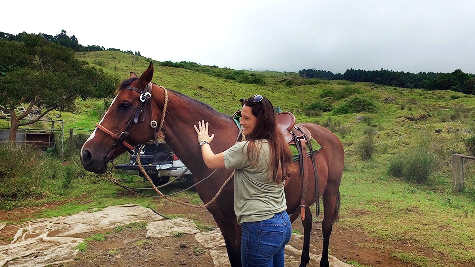 Best Maui Activities Horseback Riding