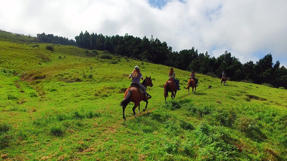 Best Mau Haleakala i Horseback Riding