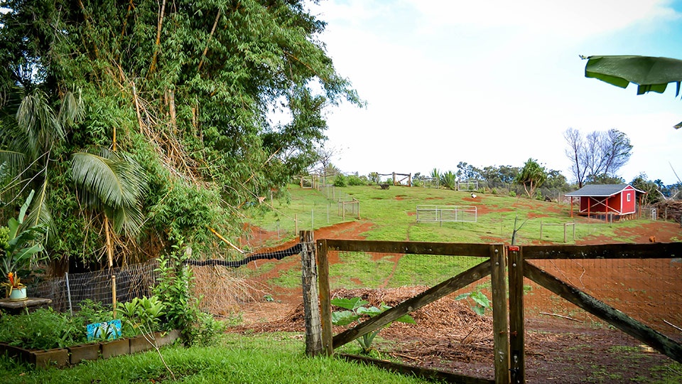 Best Maui Activities Leilani Farm Sanctuary