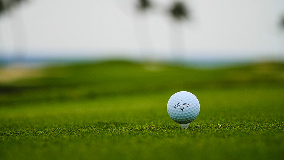 Best Maui Activities Kapalua Golf Course