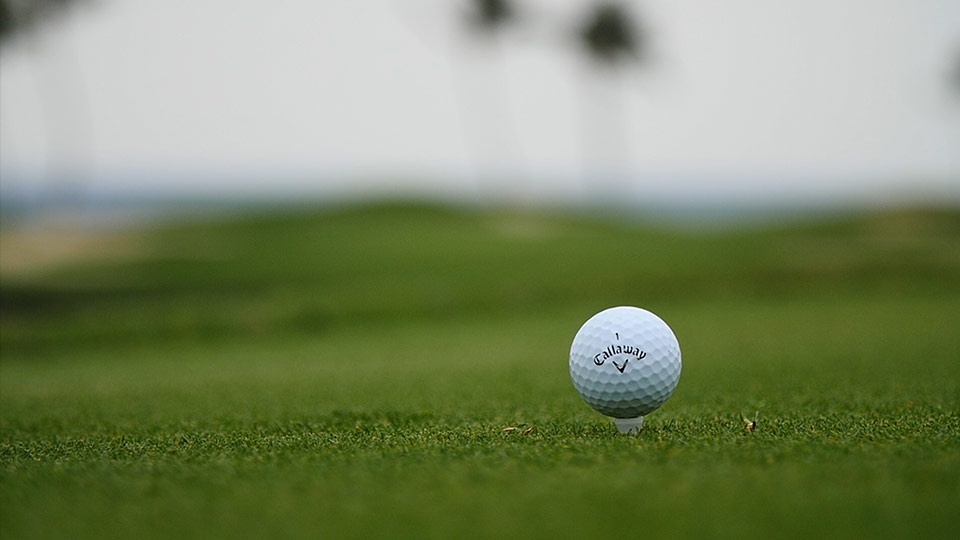 Best Maui Activities Golf course