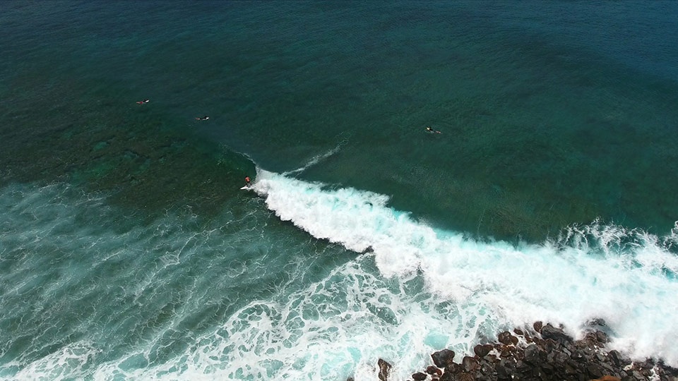 Best Maui Activities Honolua Bay