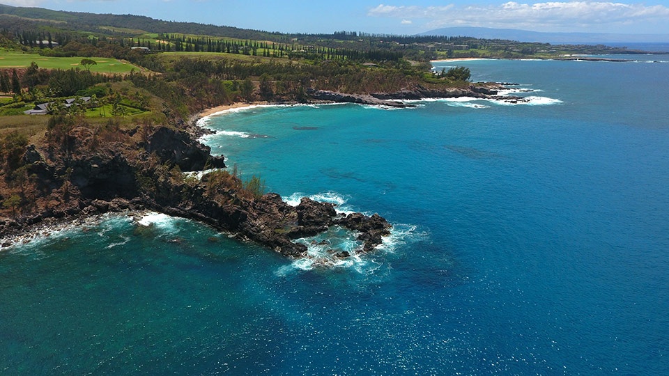 Best Maui Activities Honolua Bay