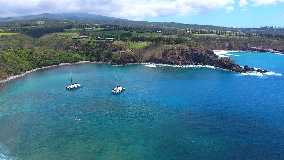 Best Maui Activities Honolua Bay