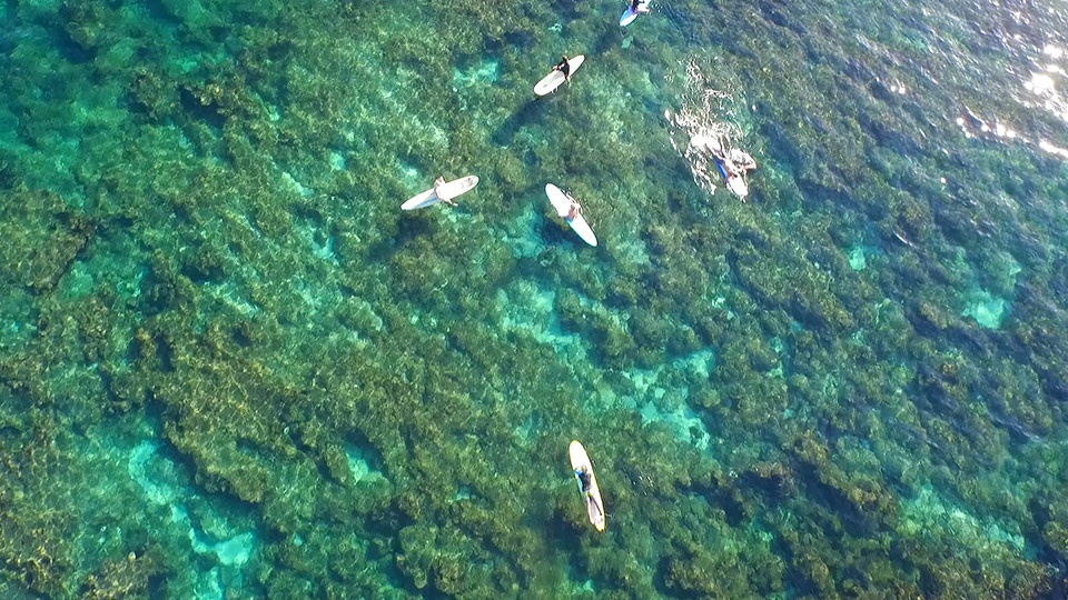 Best Maui Activities Ho’okipa Beach