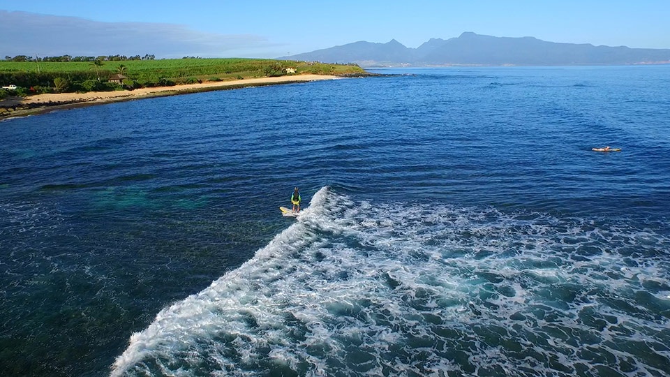 Best Maui Activities Ho’okipa Beach