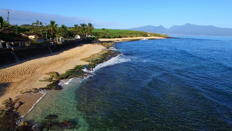 Best Maui Activities Ho’okipa Beach