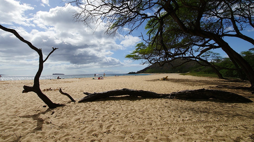 Best Maui Makena State Park