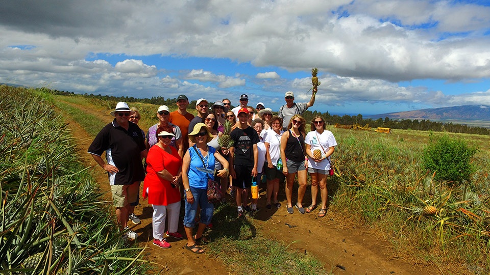 Best Maui Activities Pineapple Tour