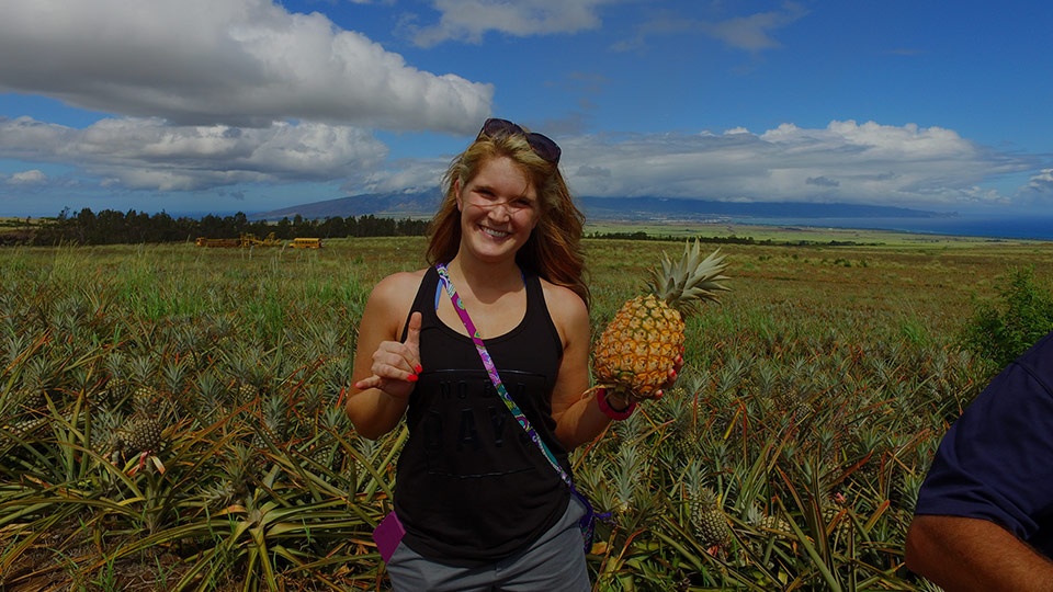 Best Maui Activities Pineapple Tour