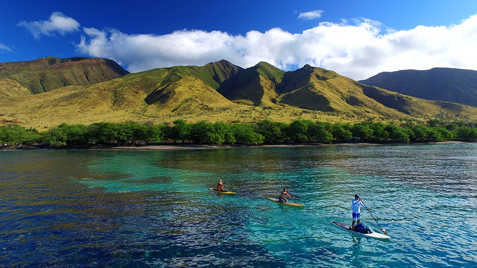 Best Maui Activities Stand Up Paddling