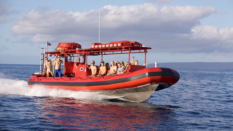 Top Maui Ocean Activities Rafting