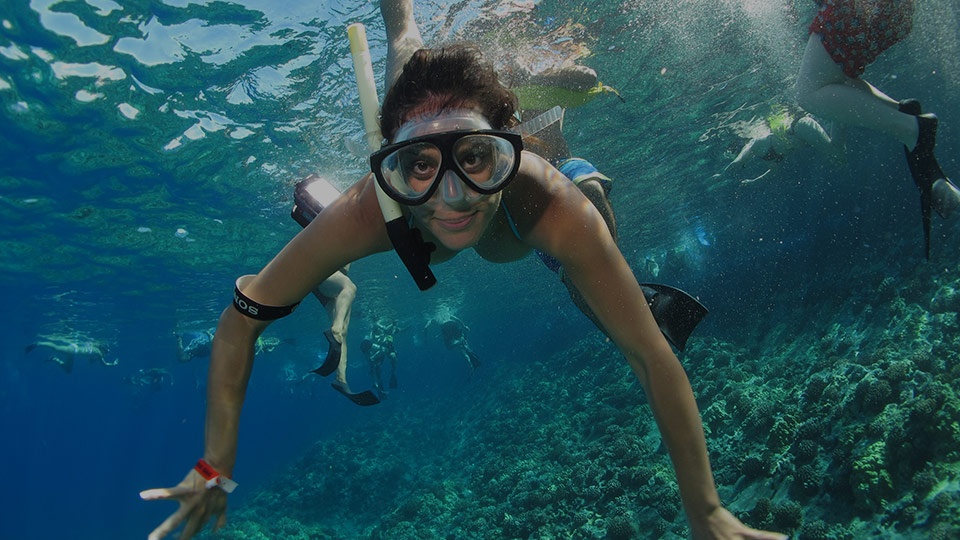Best Maui Ocean Activities Snorkeling