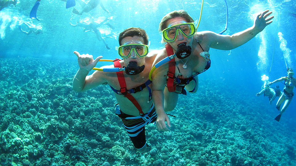 Best Maui Ocean Activities SNUBA Diving