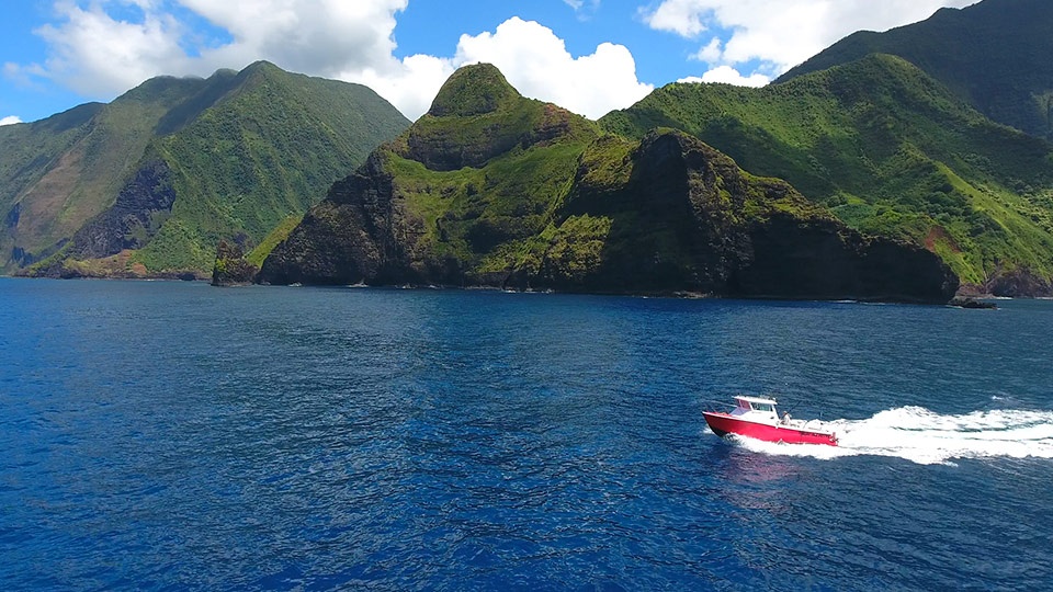 Best Maui Ocean Activities Sport Fishing