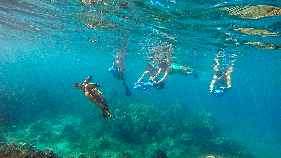 Best Maui Ocean Activities Scooter Scuba