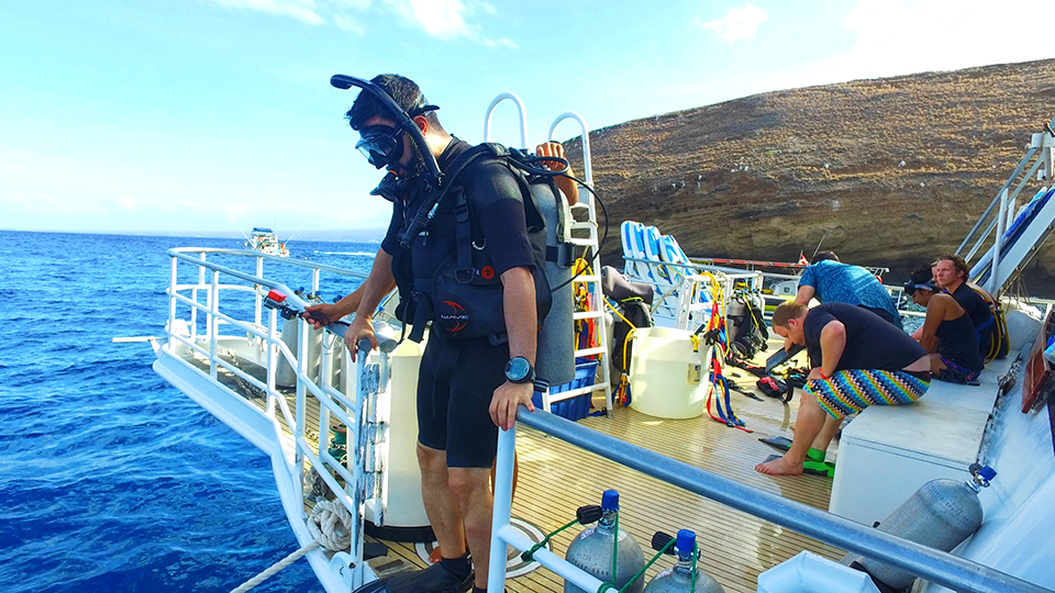 Best Maui Ocean Activities Scuba