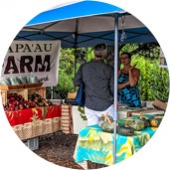 The Wednesday Market Maui Best Organic