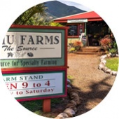 Kumu Farms Best Maui Organic