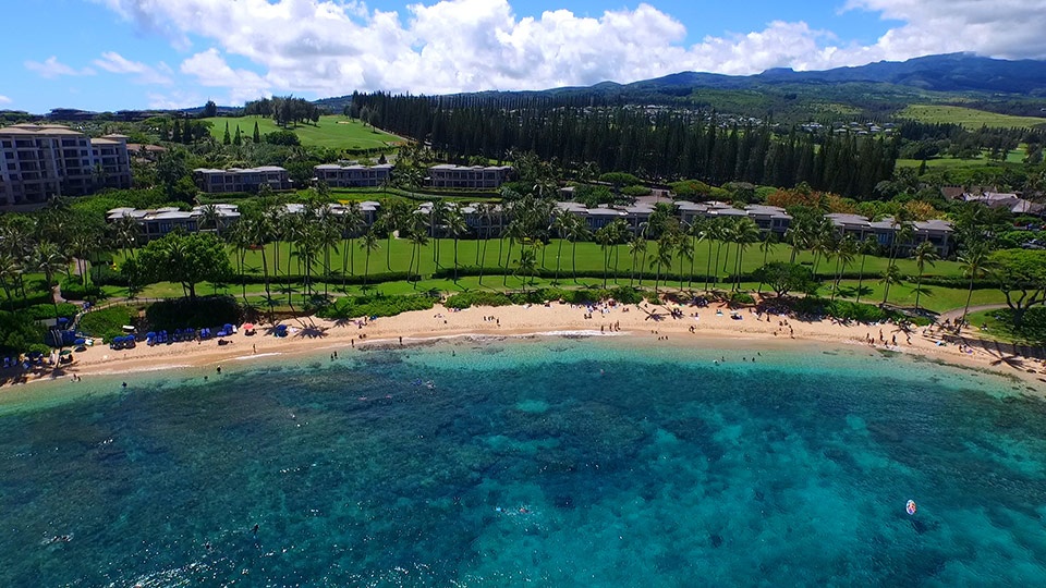 Kapalua Bay Snorkeling