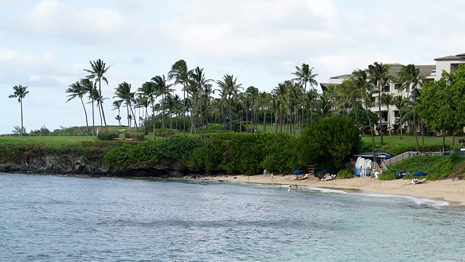 Where to Snorkel in Maui Hawaii Napili Bay