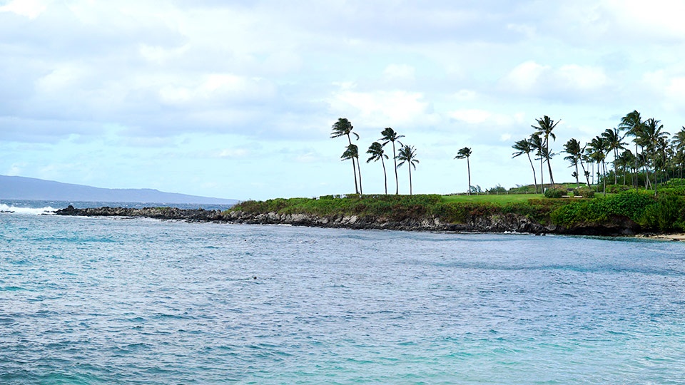 Where to Snorkel in Maui Hawaii Napili Bay