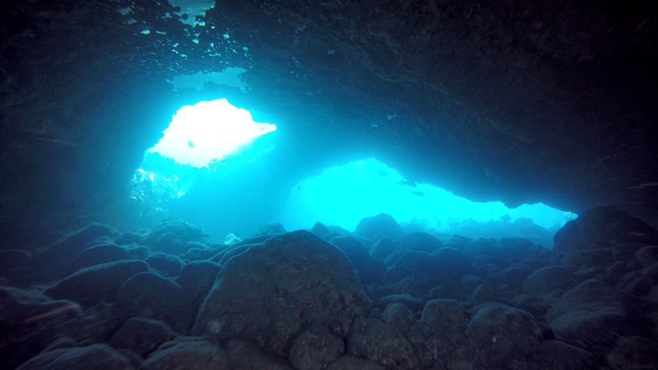 Top Maui Snorkel Five Caves