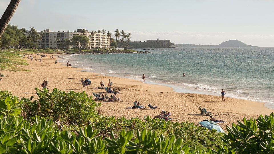 Ulua Beach Snorkeling in Maui