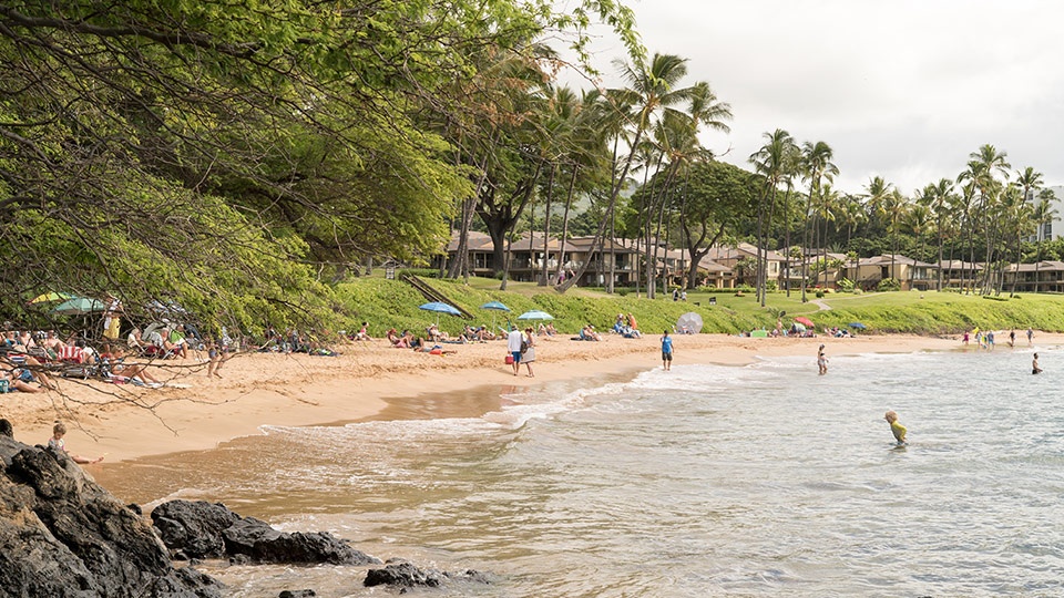 Ulua Beach Maui Hawaii