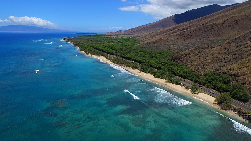 Coral Gardens Snorkeling