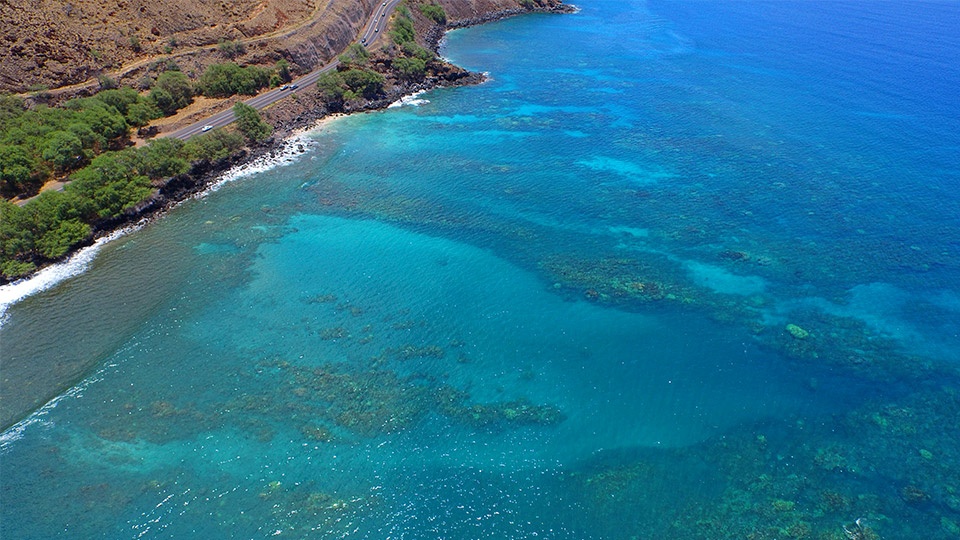 Coral Gardens Maui Hawaii