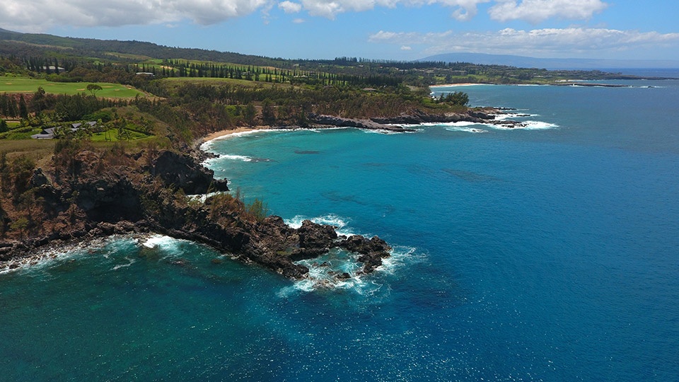 Honolua Bay Snorkeling