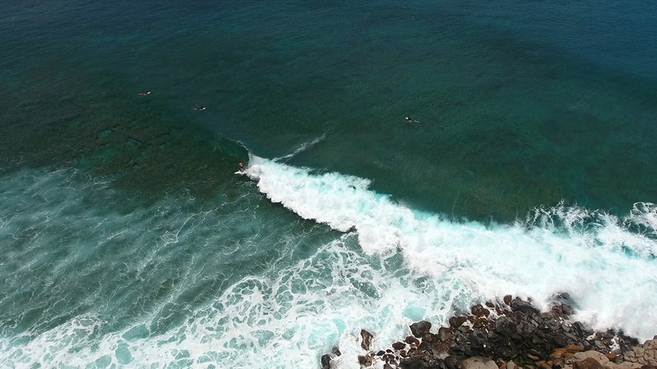 Where to Snorkel in Maui Hawaii Honolua Bay