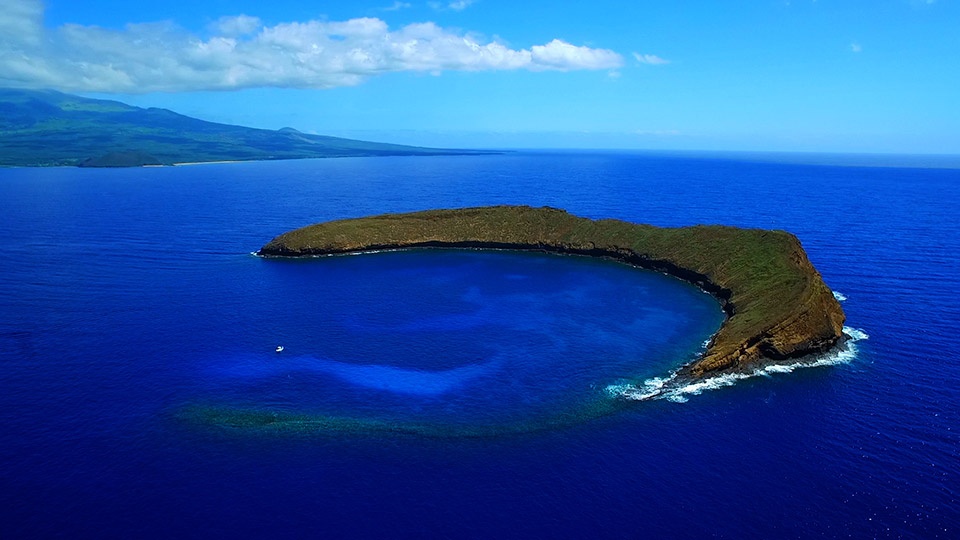 Molokini Crater Snorkeling