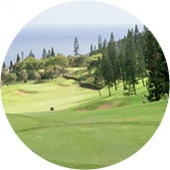 Best Maui Golf Courses King Kamehameha