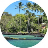 Best Hawaii Little Beach Towns Hilo Big Island