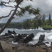 Best Maui Camping Camp Keanae