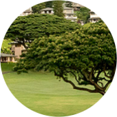 Best Maui Golf Courses Ka'napali Kai Course