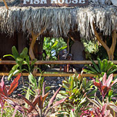 Best Maui Drinks Mama’s Fish House