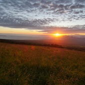 Best Maui Camping Polipoli State Park