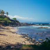 Where to Stay in Maui Hawaii Inn Mama's Fish House