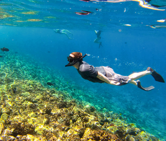 snorkeling excursions on maui