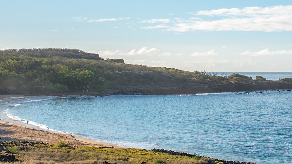 Hulopoe Bay Snorkeling Spot