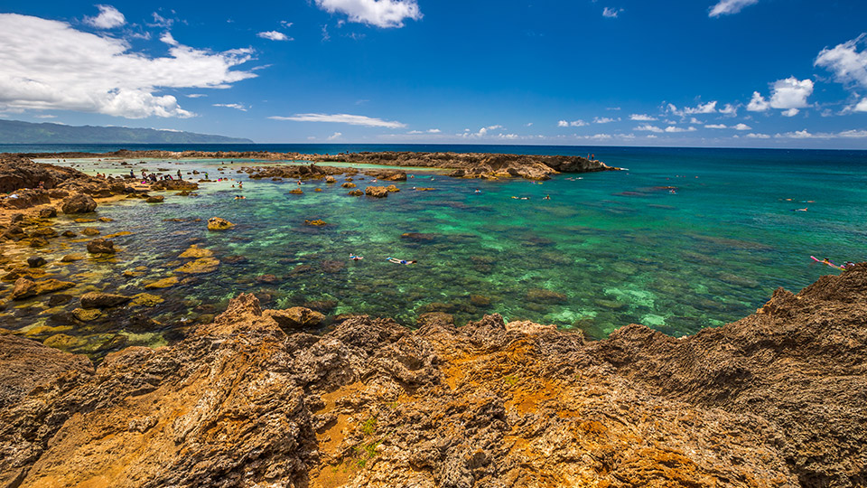 Sharks Cove