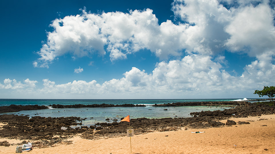 Sharks Cove Beach