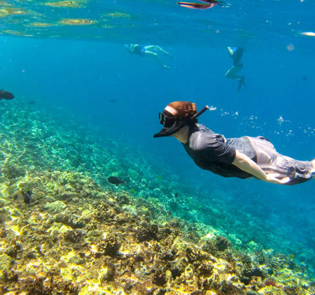 Best Hawaii Adventure Snorkeling Spots